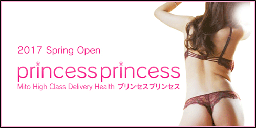 princess princess(ﾌﾟﾘﾝｾｽ ﾌﾟﾘﾝｾｽ)